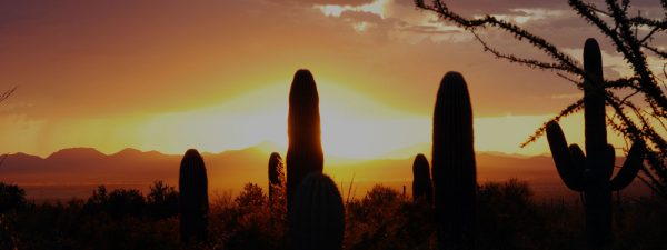 image of tucson arizona desert and sunset